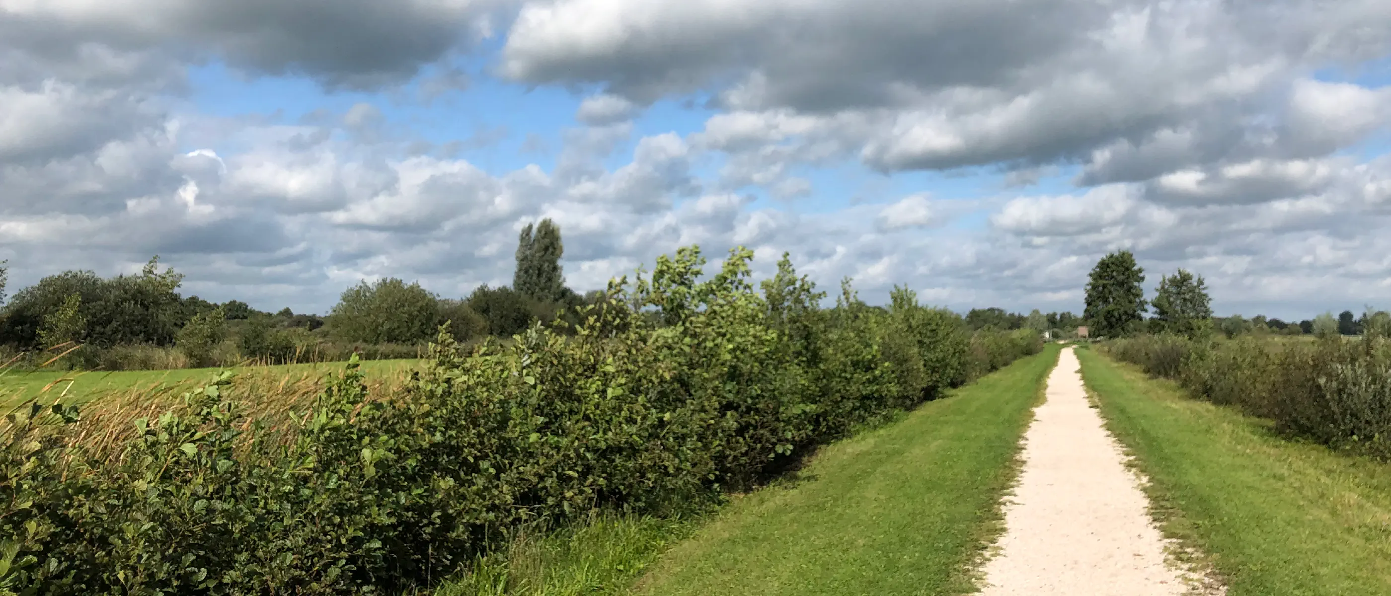 Geen zin in hardlopen?