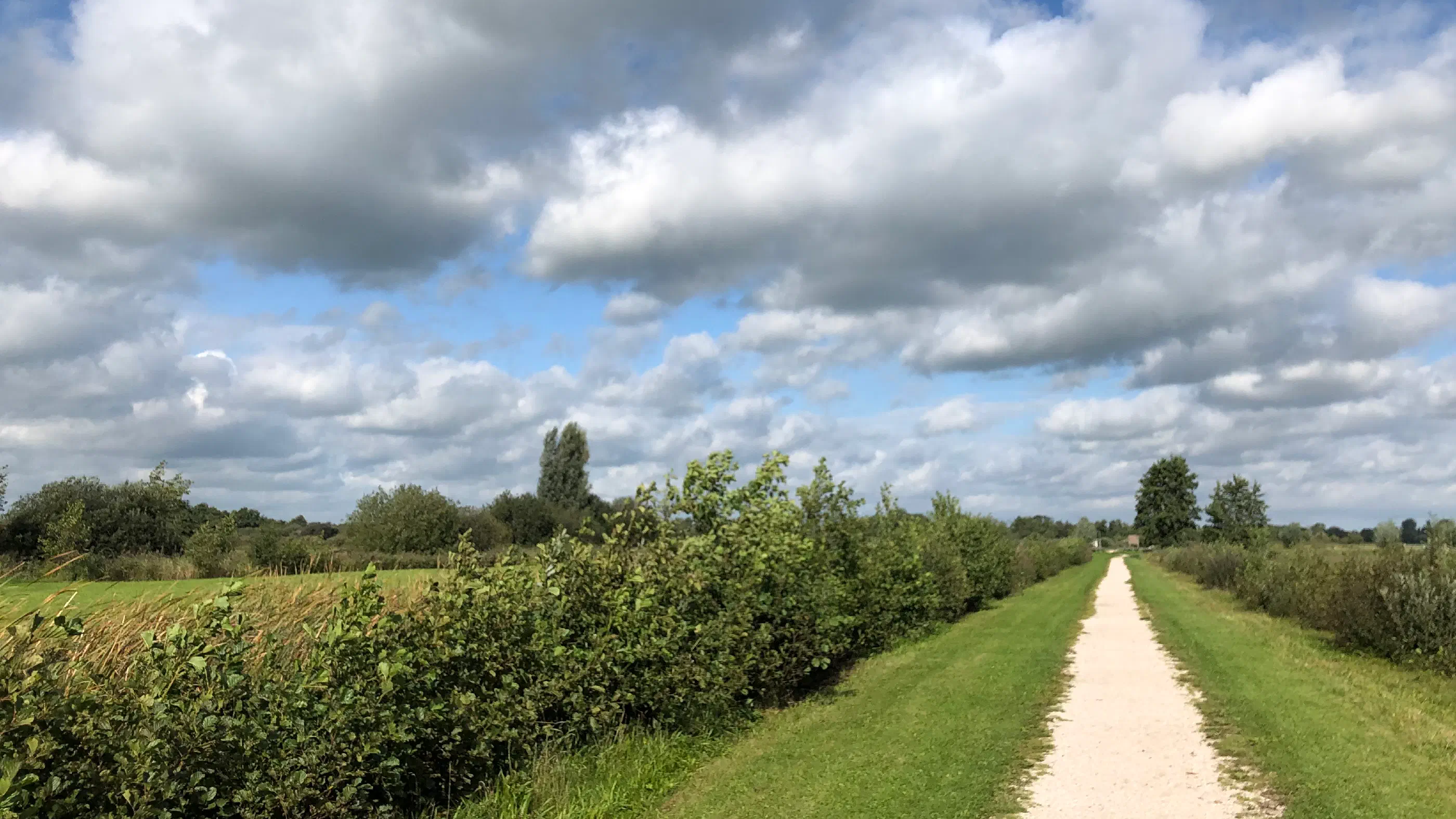 Geen zin in hardlopen?