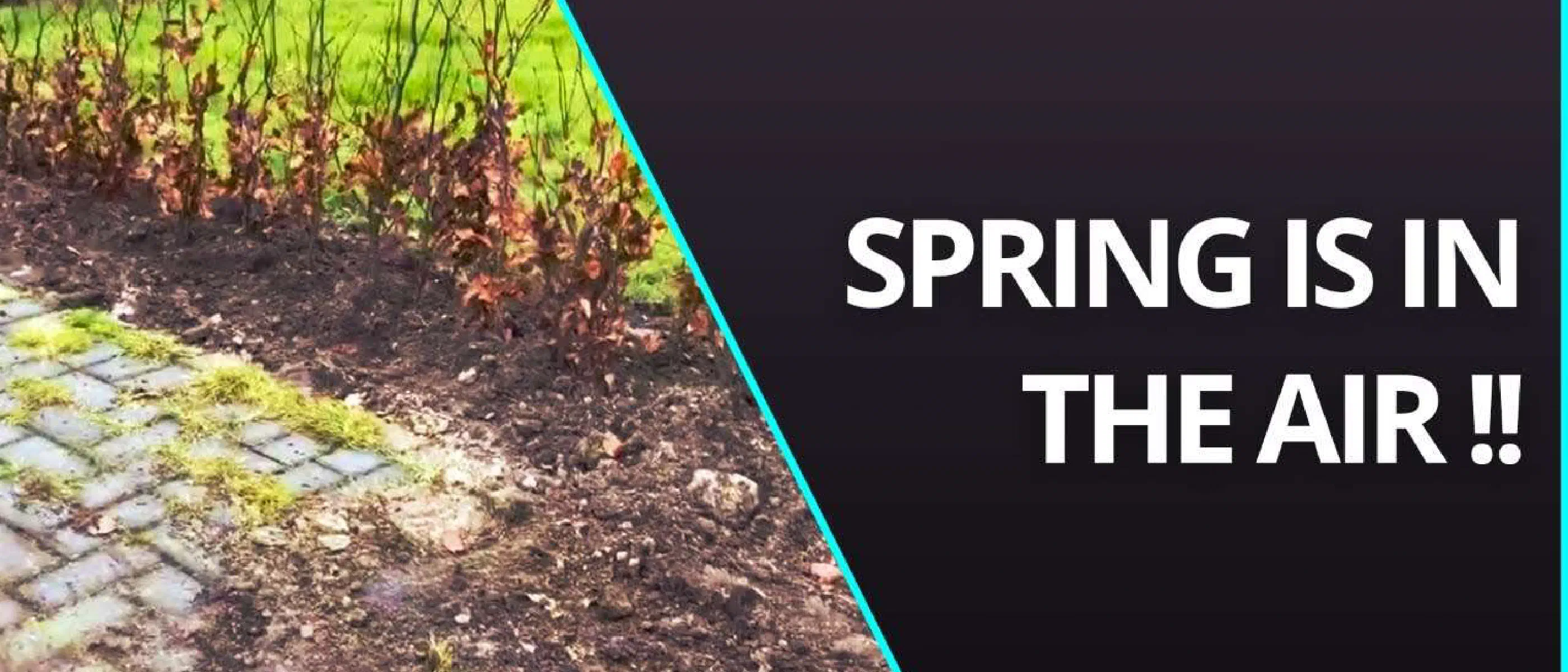 Spring is in the air in 't Roblespark Grootegast