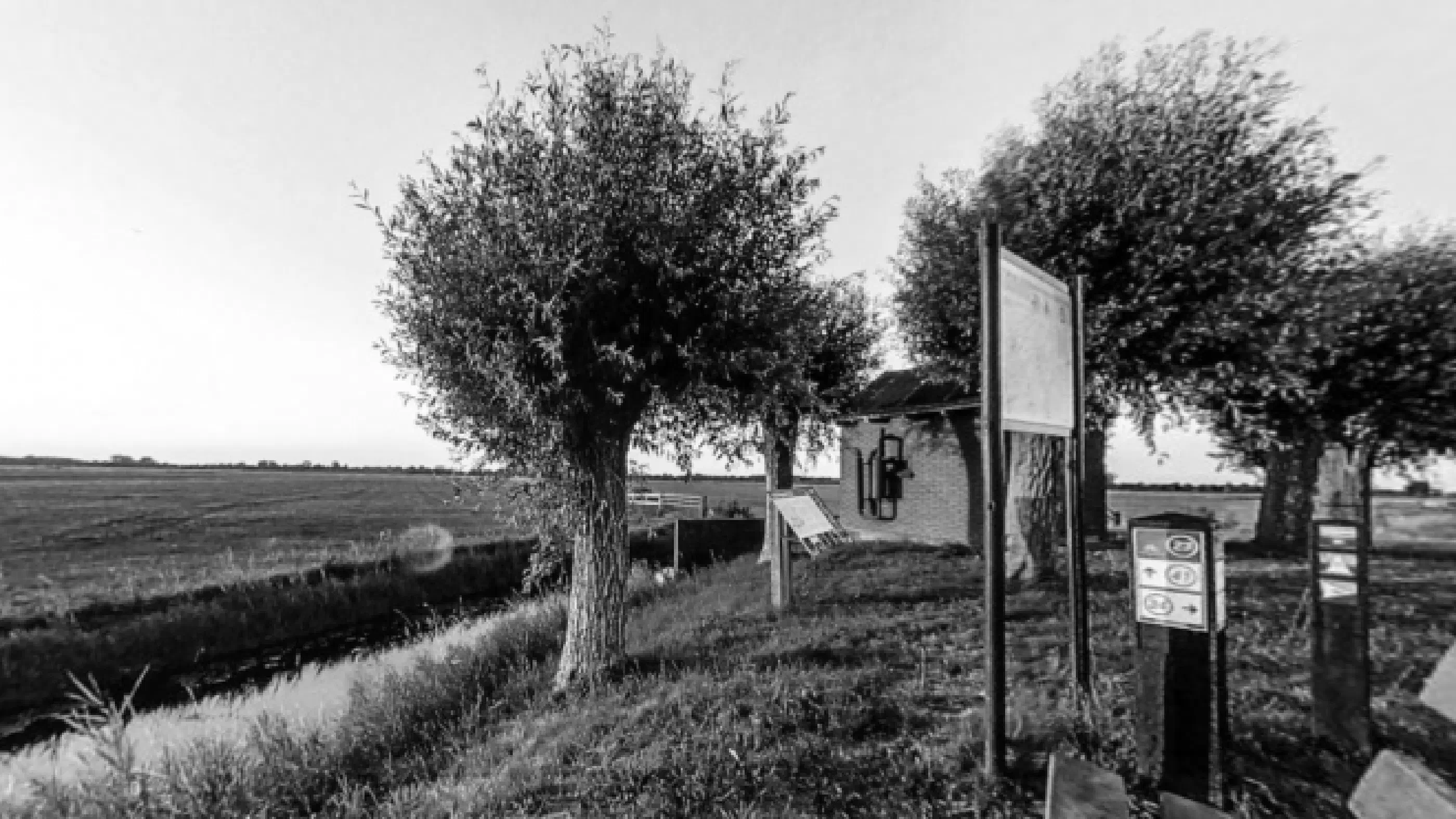 Mijn eerste foto met de Insta360 One X2